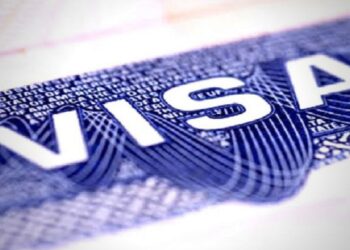 US H-1B visas