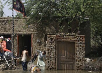 WHO’s most recent warning that the Pakistan floods could lead to the spread of fatal diseases